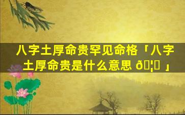 八字土厚命贵罕见命格「八字土厚命贵是什么意思 🦟 」